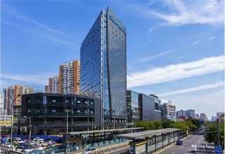 管理专业SEO服务咨询热线